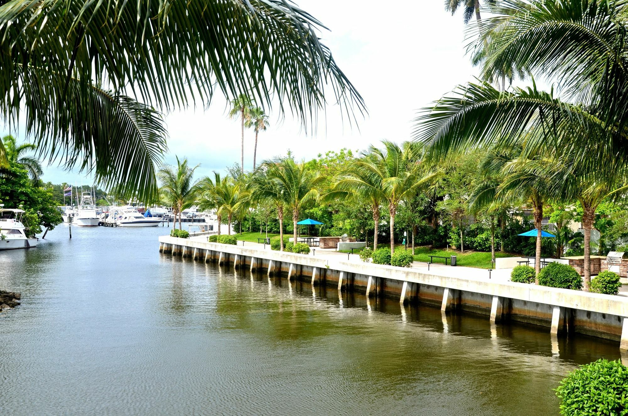 Riviera Luxury Living At River Oaks Marina And Tower Miami Eksteriør bilde