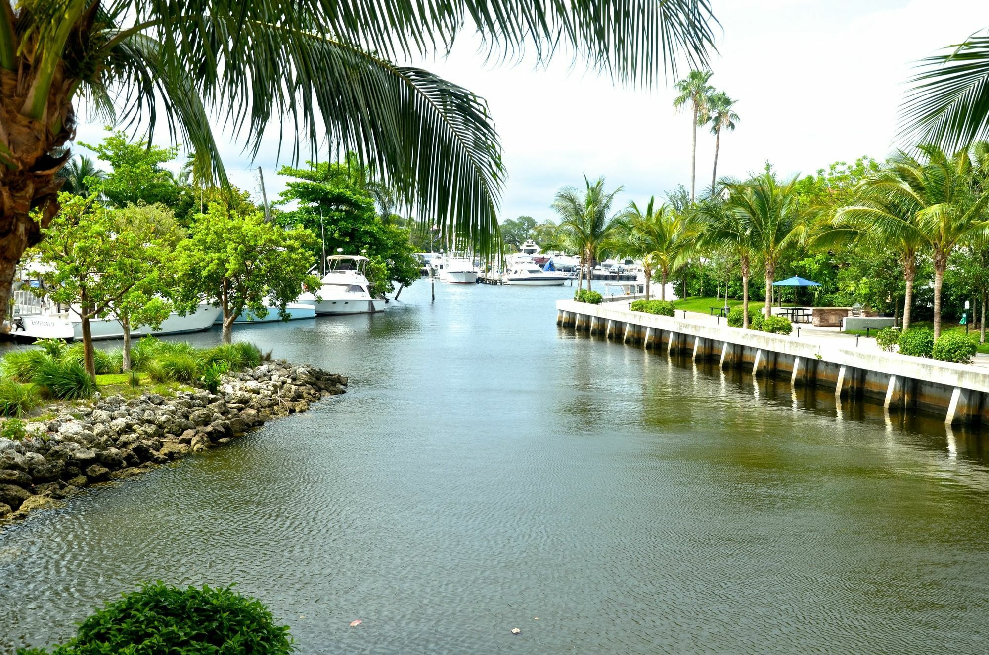 Riviera Luxury Living At River Oaks Marina And Tower Miami Eksteriør bilde
